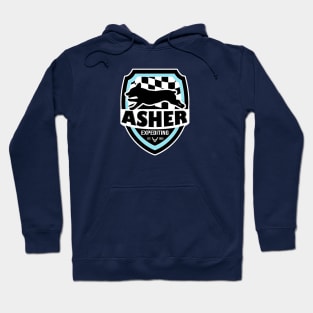 Asher Expediting - Logo Tee Hoodie